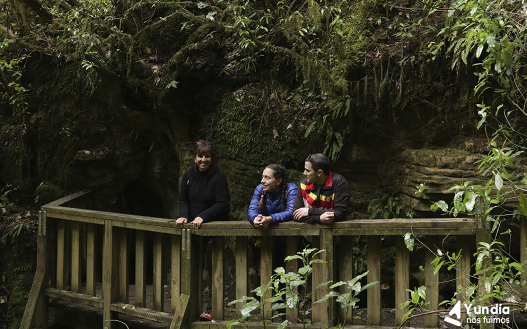 Las cuevas de Waitomo
