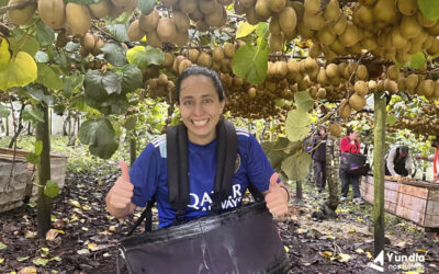 Guía Working Holiday para Nueva Zelanda (actualizado 2025)